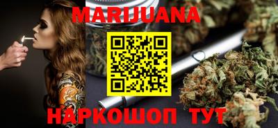 сатива Бузулук