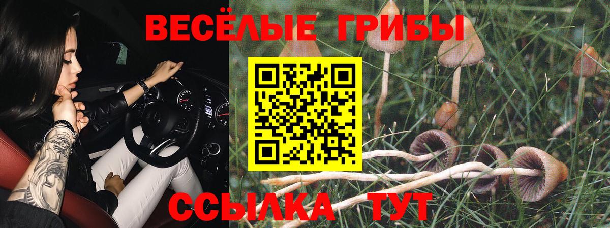 Новоуральск  Псилоцибиновые грибы Psilocybine cubensis  Вход с VPN 