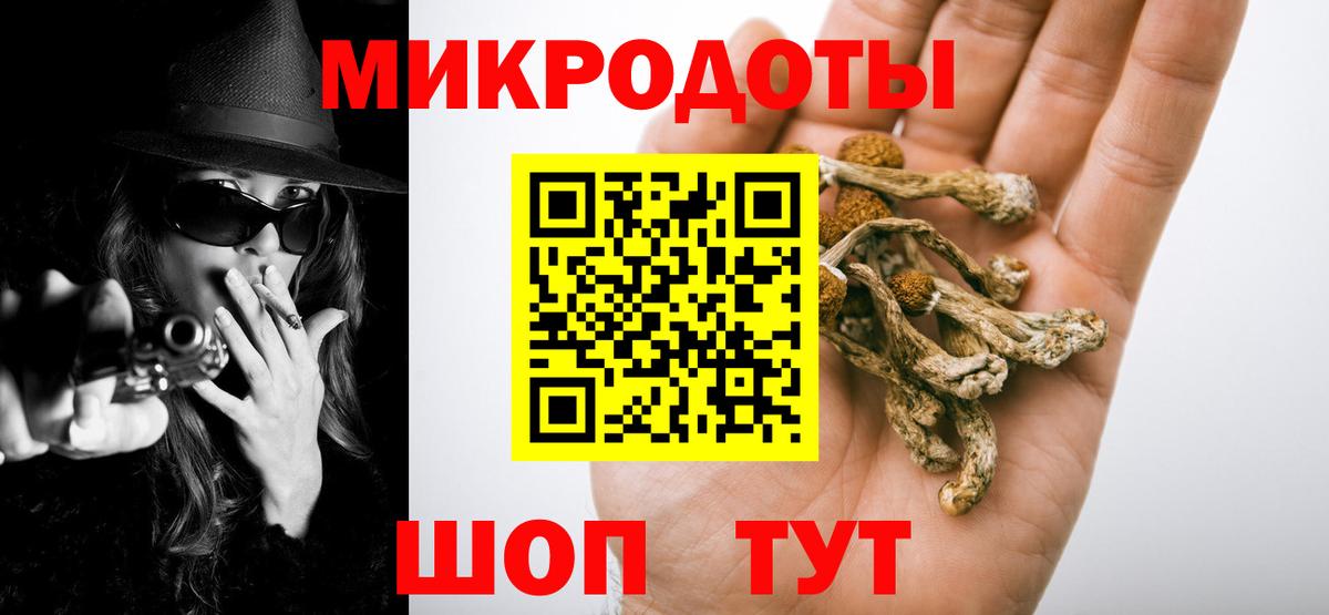 Псилоцибиновые грибы Psilocybe Новоуральск